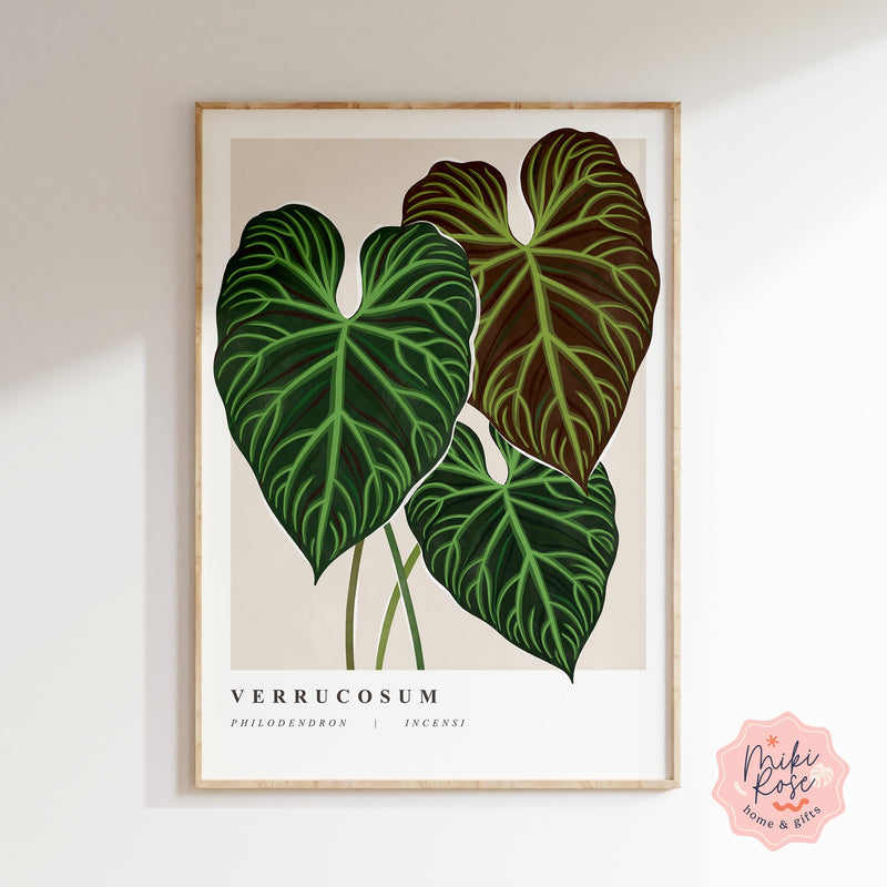 Philodendron Verrucosum Art Print Prints MikiRoseHome